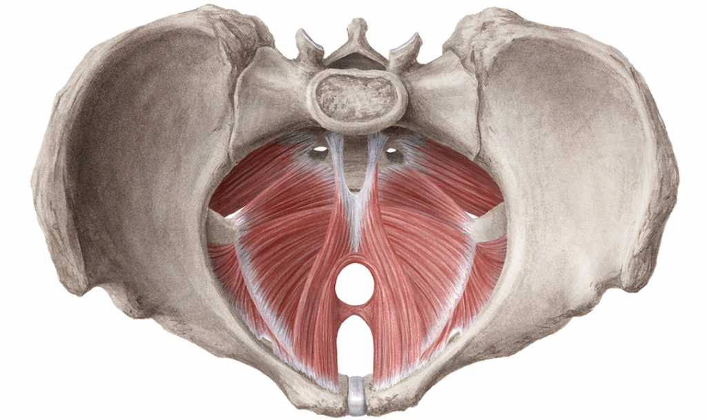 Опущение мышц тазового дна